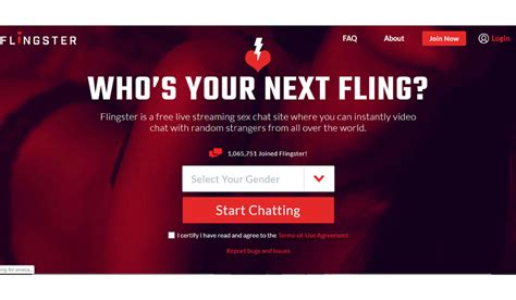 Now, you can begin setting up your profile. . Flingster login